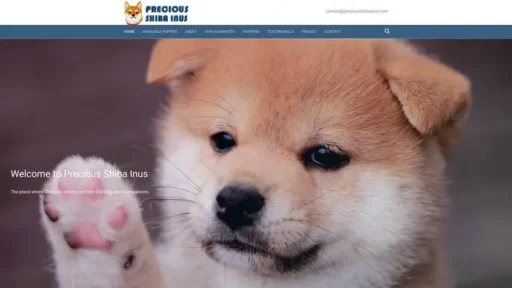 Screenshot of