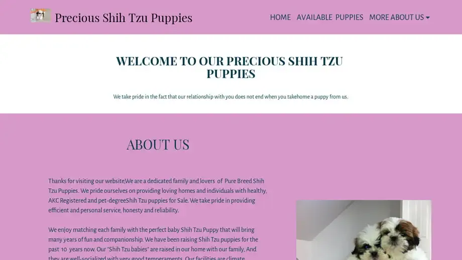 Screenshot of