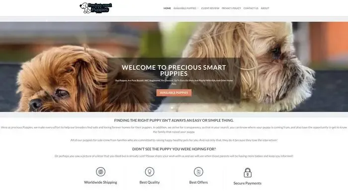 Screenshot of