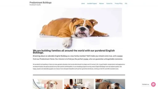 Screenshot of