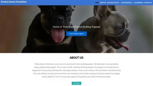 Screenshot of