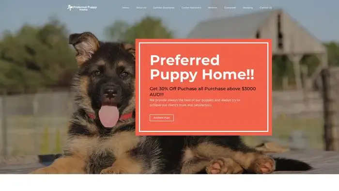 Screenshot of