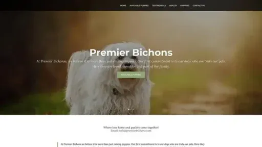 Screenshot of