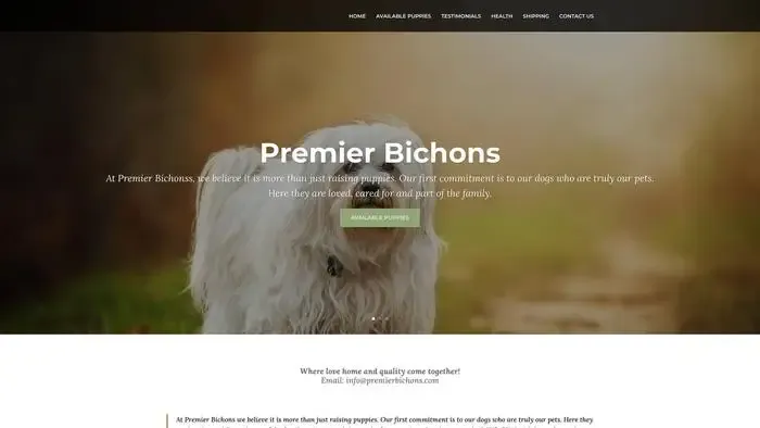 Screenshot of