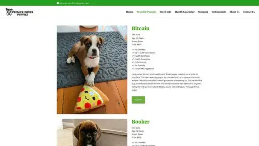 Screenshot of
