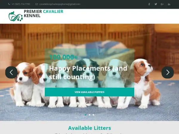 Screenshot of