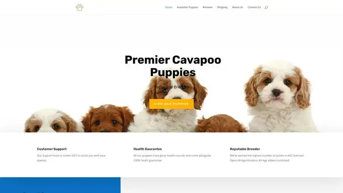 Screenshot of