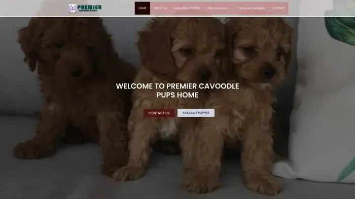 Screenshot of