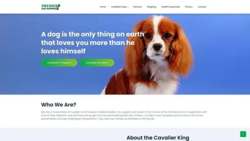 Screenshot of