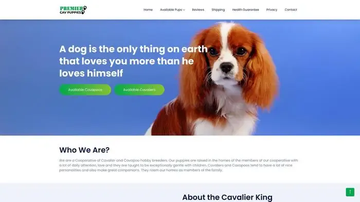 Screenshot of