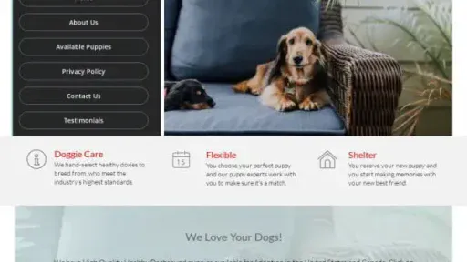 Screenshot of