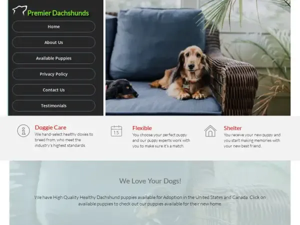 Screenshot of