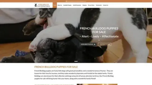 Screenshot of