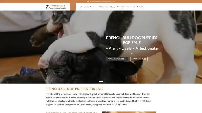Screenshot of