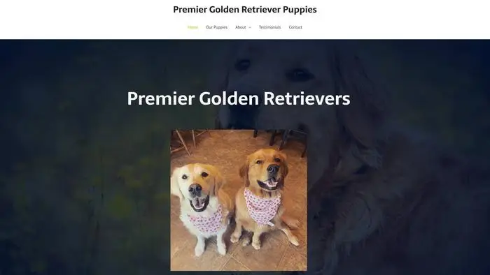 Screenshot of