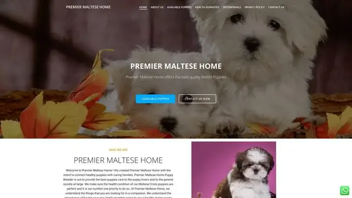 Screenshot of