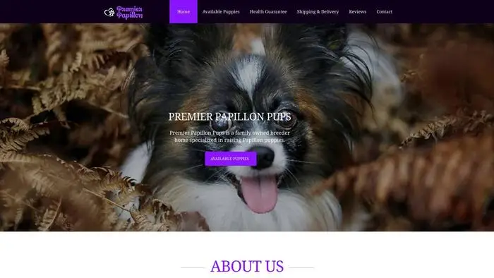 Screenshot of