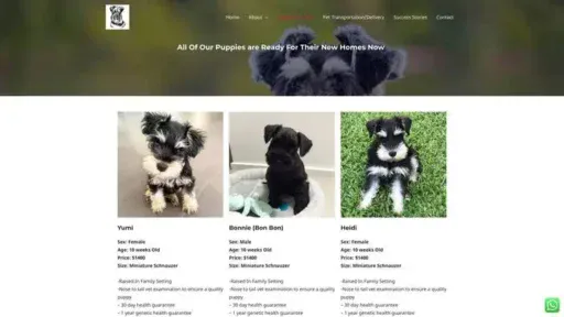 Screenshot of