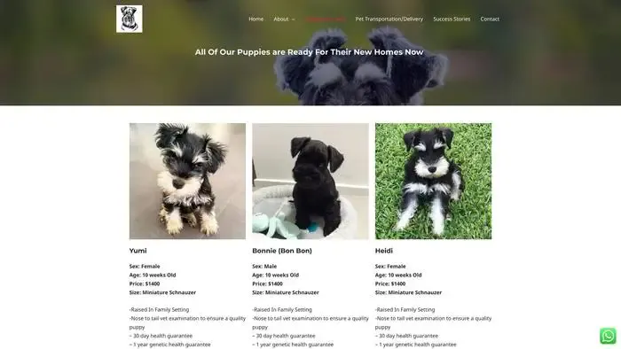 Screenshot of