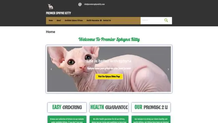 Screenshot of