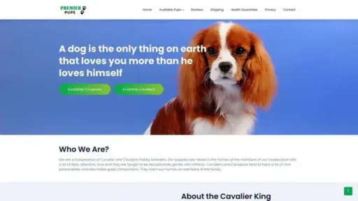 Screenshot of