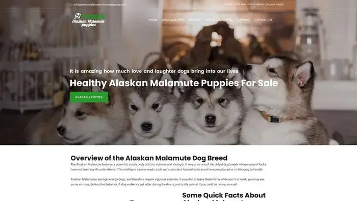 Screenshot of