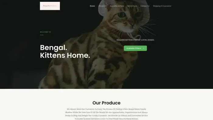 Screenshot of