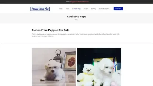 Screenshot of