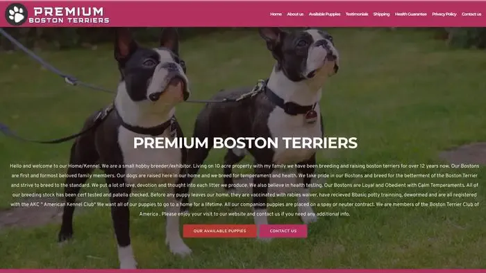 Screenshot of