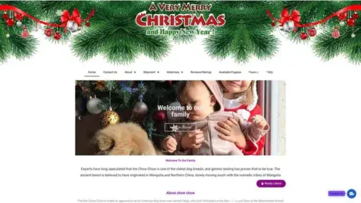 Screenshot of