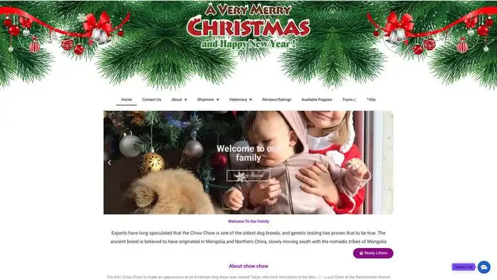 Screenshot of