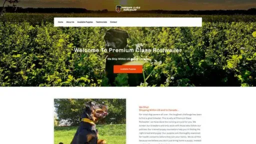Screenshot of