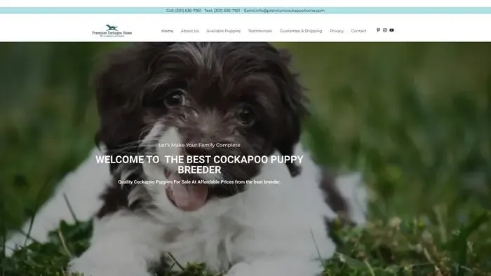 Screenshot of