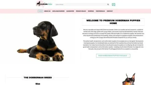 Screenshot of