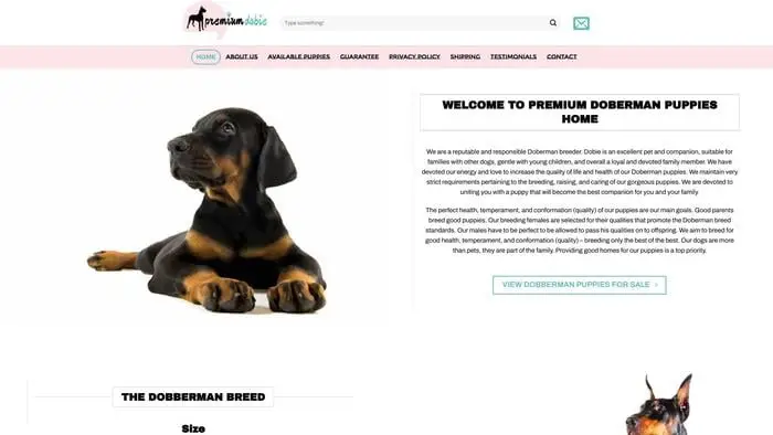 Screenshot of