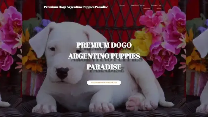 Screenshot of