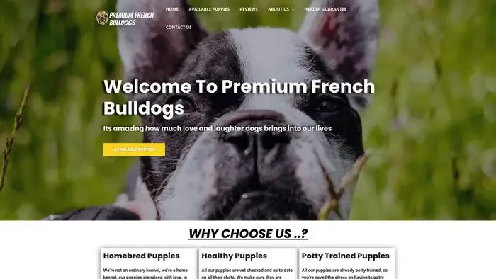 Screenshot of