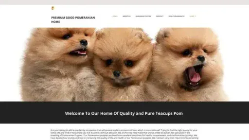 Screenshot of