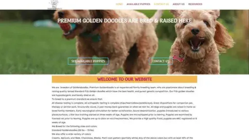Screenshot of