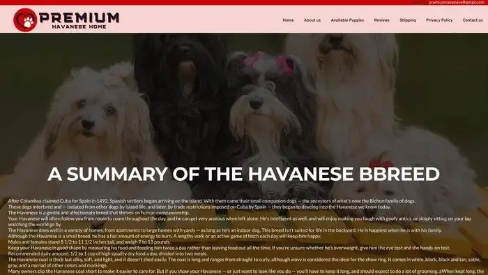 Screenshot of