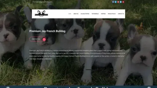 Screenshot of