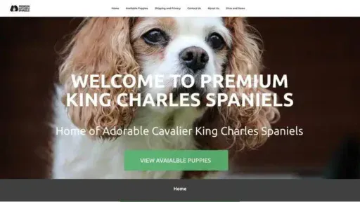 Screenshot of