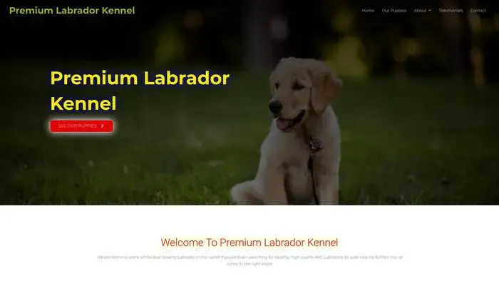 Screenshot of