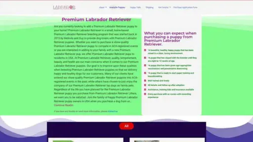 Screenshot of