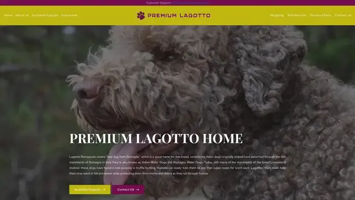 Screenshot of