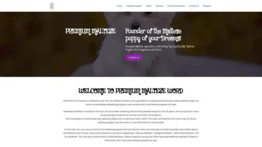 Screenshot of