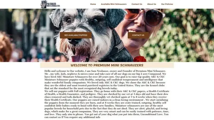 Screenshot of
