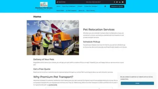 Screenshot of