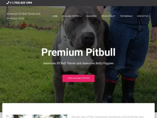 Screenshot of