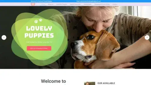 Screenshot of